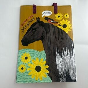 Trader Joe’s Plastic Reusable Shopping Tote Bag 6 Gallon Maryland Collectible